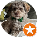 DuSty profile picture